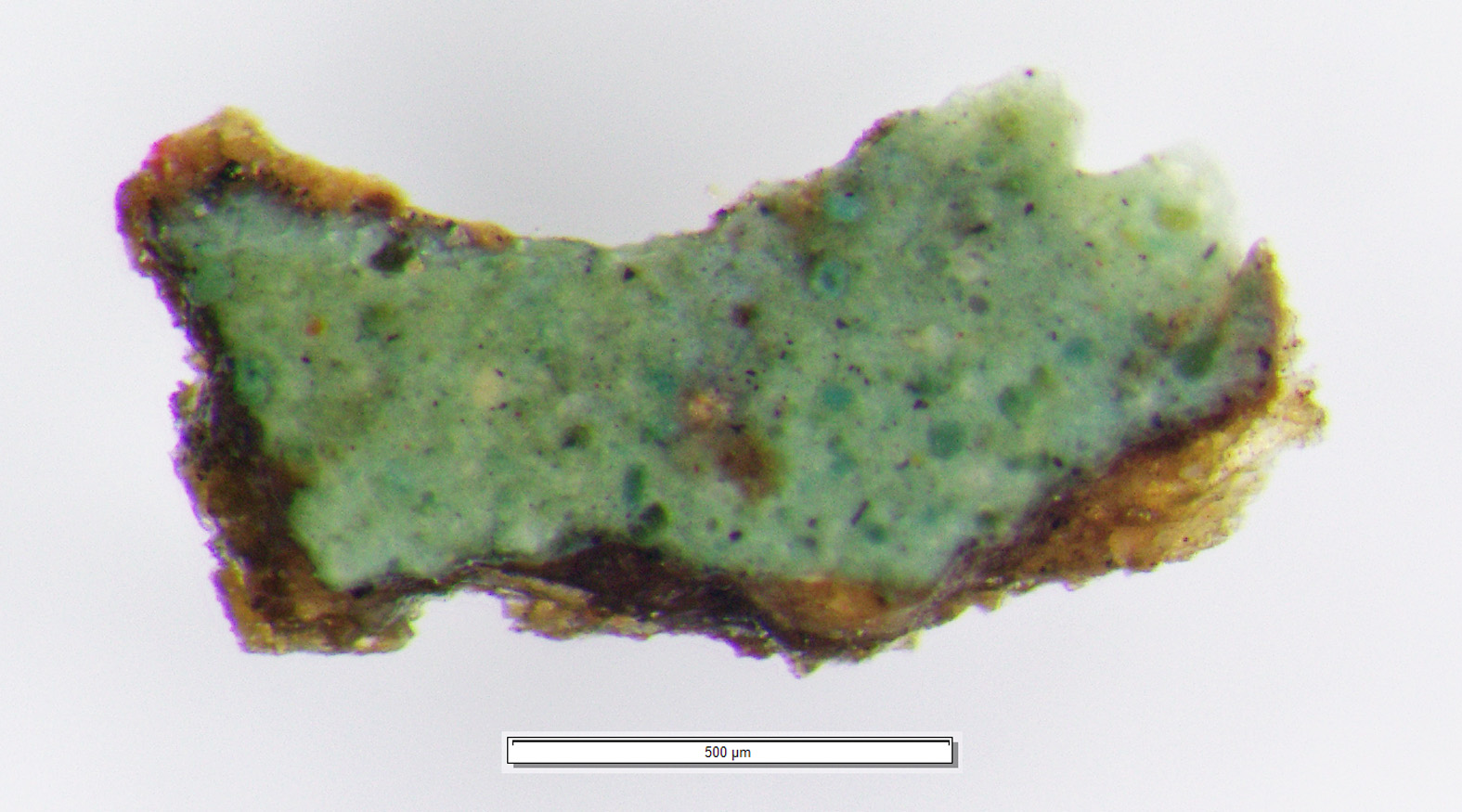Écaille de peinture au microscope x56