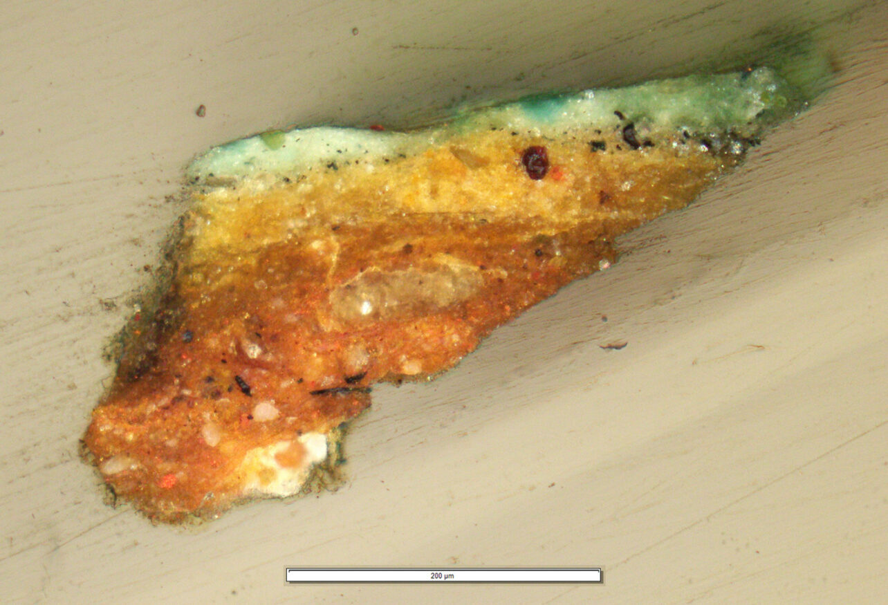 Coupe stratigraphique vue au microscope x200