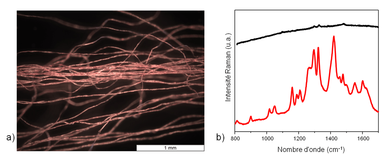 Fibres – Spectres Raman