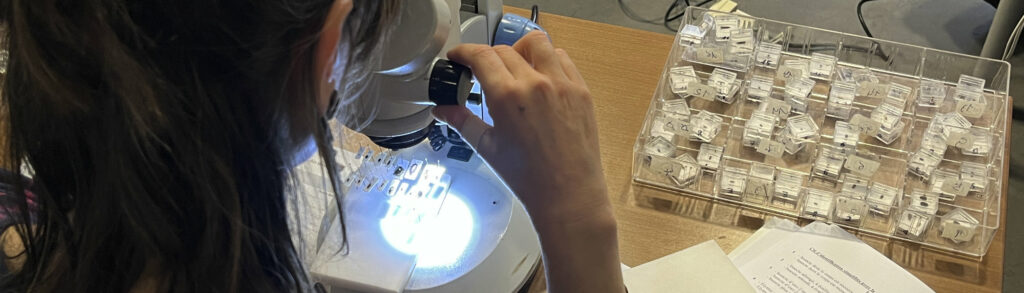 Formation "Croqueurs du patrimoine"